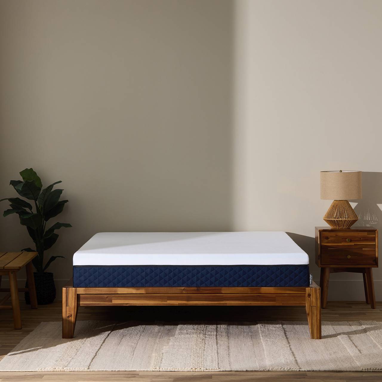 Le matelas S & S 1