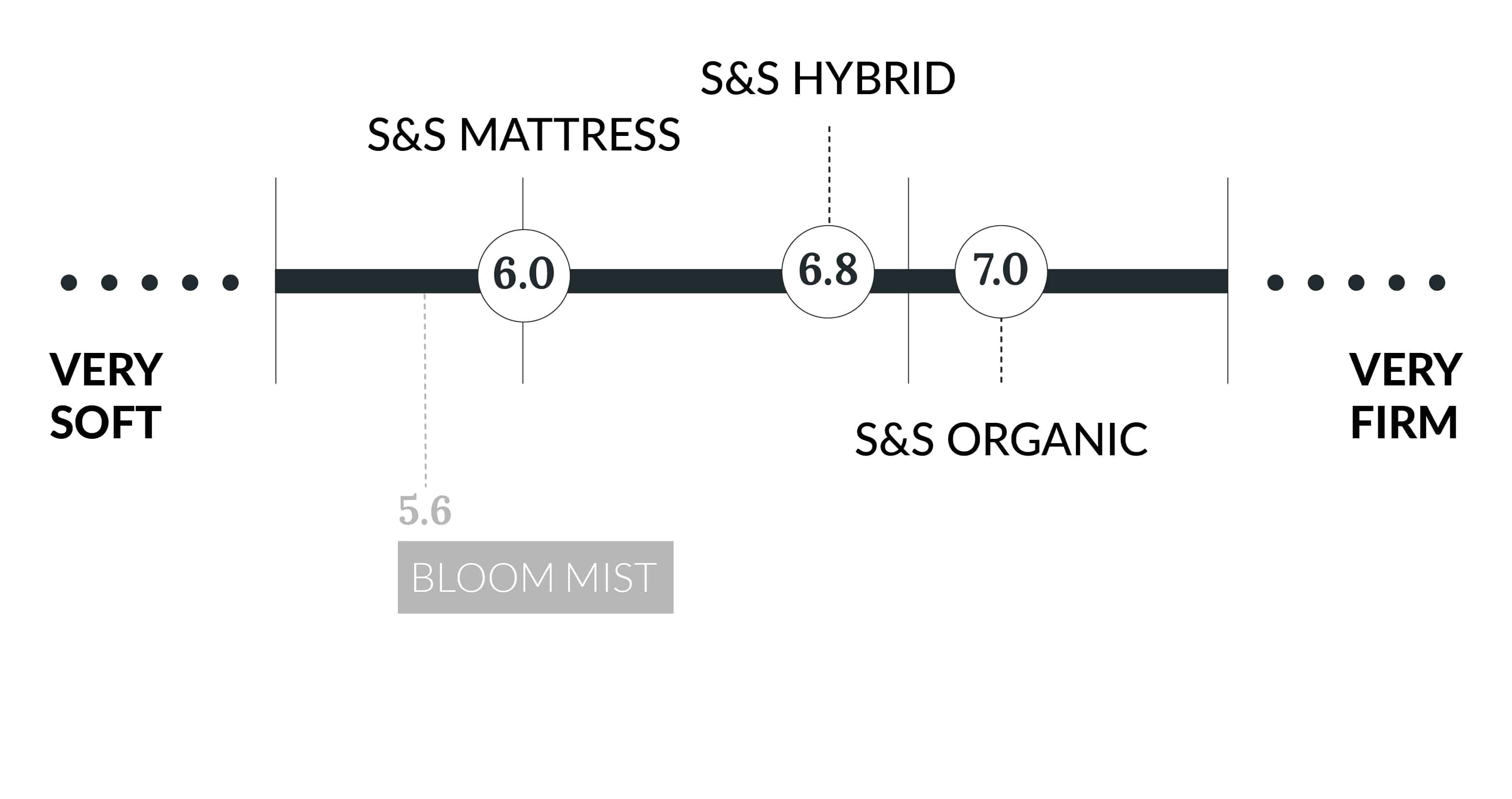 bloom mist mattress review