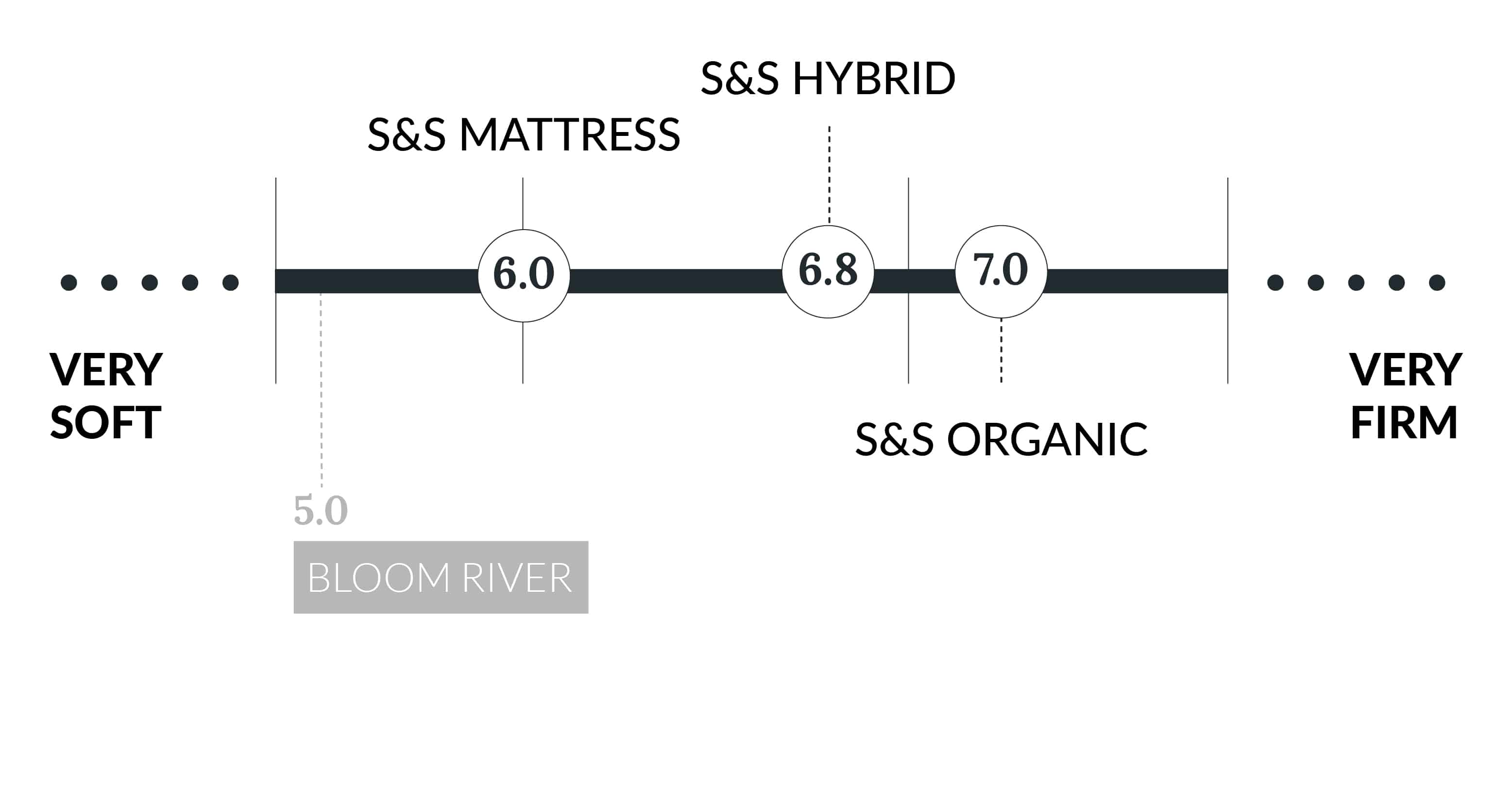 bloom river mattress review